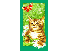 8260575.image 610.jpg