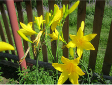 �������� ������ ������