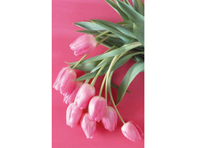 ����� ����������� ����� - M-8-15