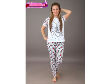 ��0017, 430���, 42-52��.