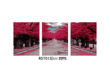 RST013--500x500.png