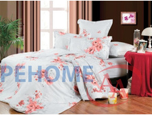 59/811 �113 ��� 2�� ����� + ����� ������