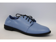 V181-Y16-8 00000043699.jpg