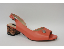 W2198-X01-3 00000044635.jpg