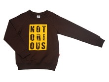 UD 2439(4)����.JPG