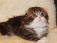 IMG 9838 ? �����.JPG