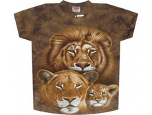 �������� ���� TD 232 S M L XL.jpg