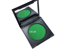 CEL08 enl.jpg