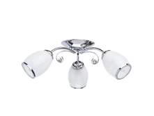 677011503 1320�.jpg