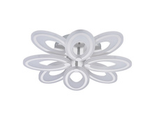 674011108 21930�.jpg