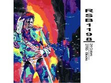 RSB1198 24-2785 副本0002-500x500.png