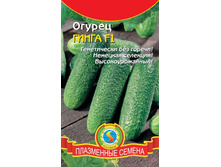�� ������ ����� F1, 6,00 ��� + ���.����