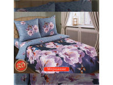 �������� 3�