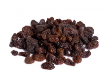 ���� ����������