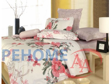 �50 ��� ����� +����� ������