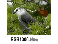 RSB1306 26-2936 副本0002-500x500.png