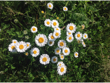 ����� ���������� �����