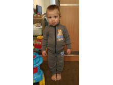 ������������  ����������