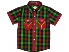 DSC03981 enl — �����.jpg