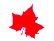 ���� ���������� ������, ���������, d=16��, ������� � ������������ 115,65.jpg