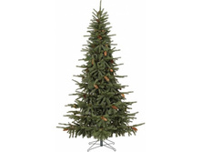 Trenton 1-290x370-2.jpg