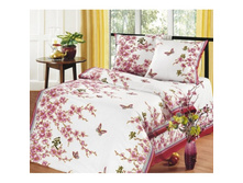 ������ - 730 ���