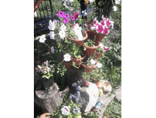 �������� 23-01-2017 171553.png