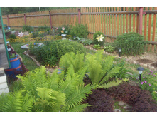 ����������