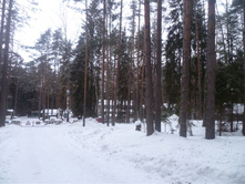 ����� ��� �� ����