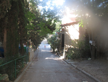 IMG 3366.JPG