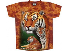 �������� � ������� TD 164 S M.jpg