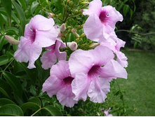 581db4e8a8661 b27900087491001401355874.jpg