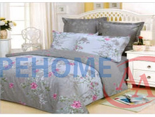 �31 ��� ����� +����� ������