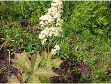 ��������� �������������� � ������