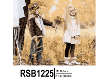 RSB1225 28-3102 副本0002-500x500.png