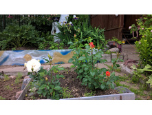 WP 20160616 16 14 16 Pro.jpg