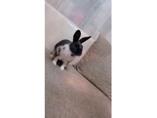 IMG 20151228 205528.jpg