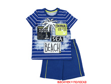 N651 vasilek poloska, 317+%