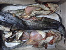 ��� �����ۣ���. ����. �������  250�/��