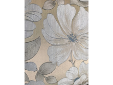 ������� (1).jpeg