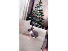 IMG 20151228 205747.jpg