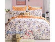 59/224 �160 ��� 2�� ����� +����� ������