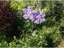 �����. ���������������� �����