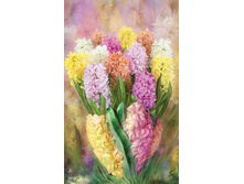 ����� ����������� ����� - M-8-16