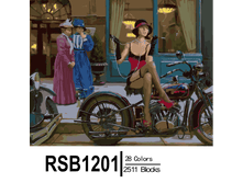 RSB1201 28-2511 副本0002-500x500.png