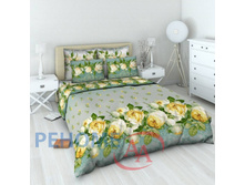 4315-1 ��� ����������� ������ ���� ��������