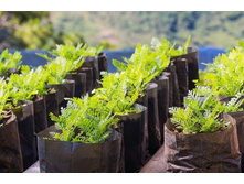 ������ �-������� 10�. (22�55��.) �100 ��� 00096452 20,48���.jpg