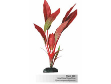 ������������  �������  � ��������