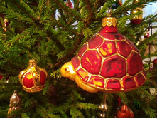 IMG 20170102 144540.jpg