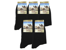 ������� ����� Alex B-17 ޣ���� ��������� ������ ������� 22.50 ���